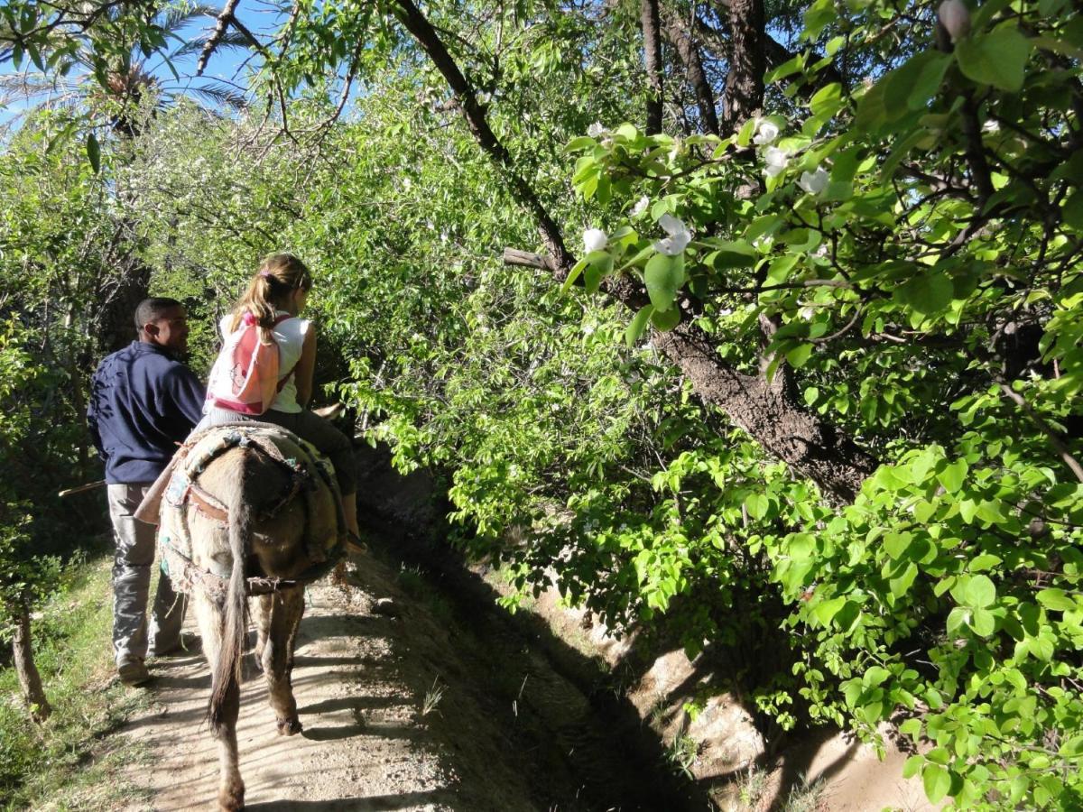 Kasbah Dar Bahnini Hostel Skoura Εξωτερικό φωτογραφία